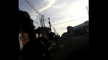 Lidi Berjalan