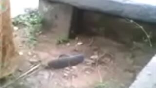 Video Panas Desi Di Luar Ruangan Bersama Istri Nakal Dan Kekasih Gelapnya