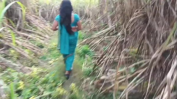 Ngentot Istri Tetangga Di Kebun Tebu, Makin Keras Makin Basah