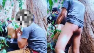 Video Mesum Pasangan Ngentot Di Bawah Pohon Besar, Bikin Makin Horny!